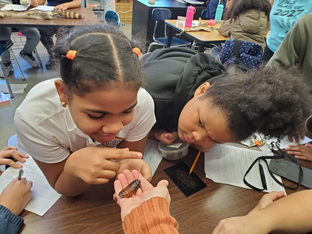 Two young girls look closely at an insect on an instructor's hand